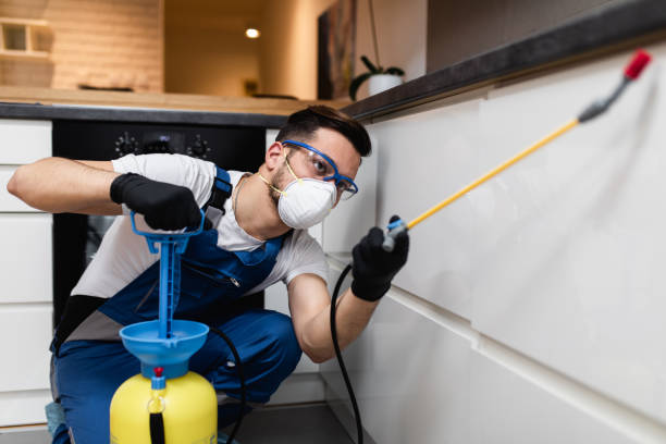 Best Wasp Removal Services  in New Buffalo, MI